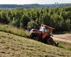 Grass haymaking
