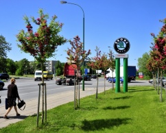 Silutes avenue, Klaipeda