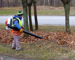 Leaves sweeping